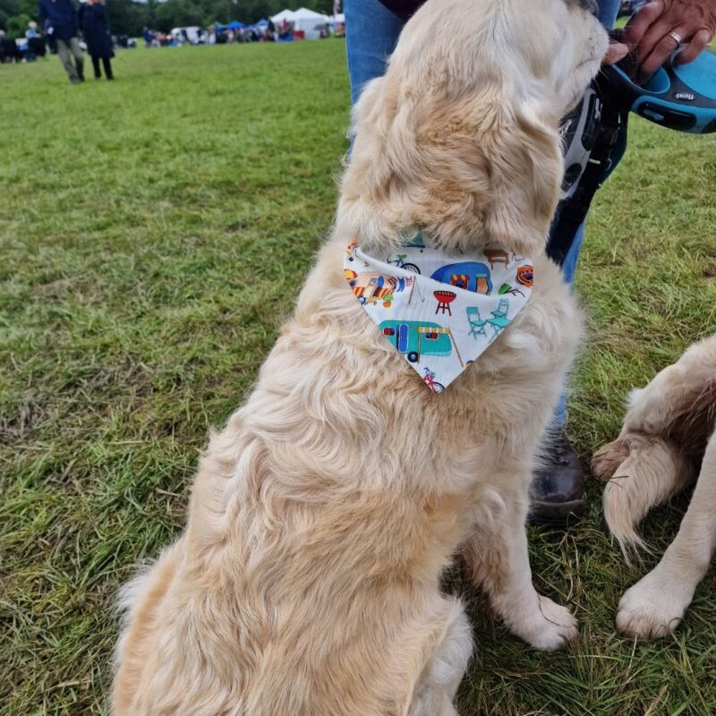 Polka Dot Caravan / Campervan Dog Bandana