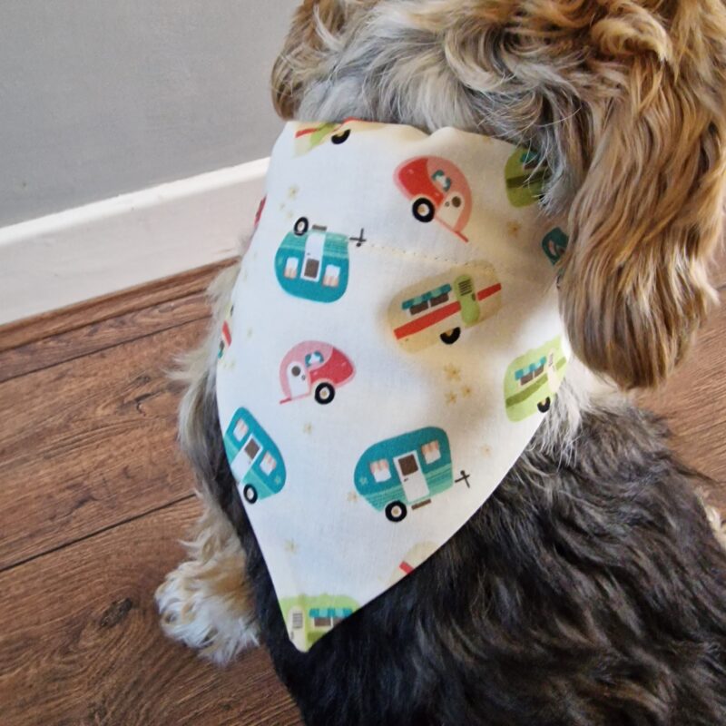 Caravan Dog Bandana
