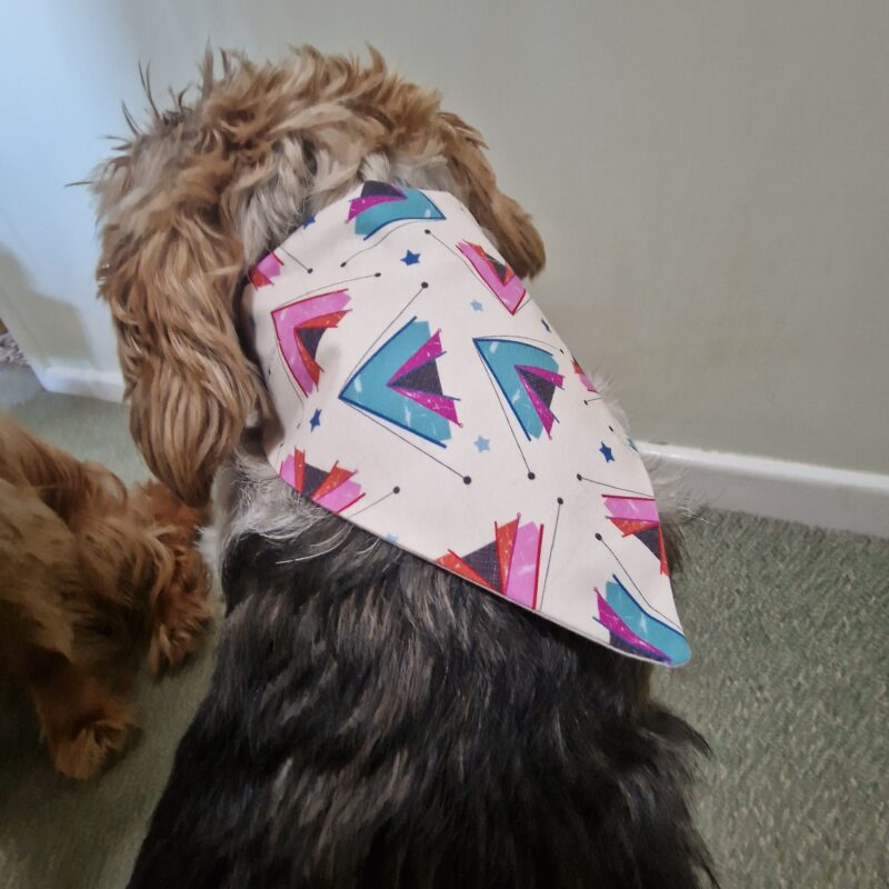 Camping  Dog Bandana