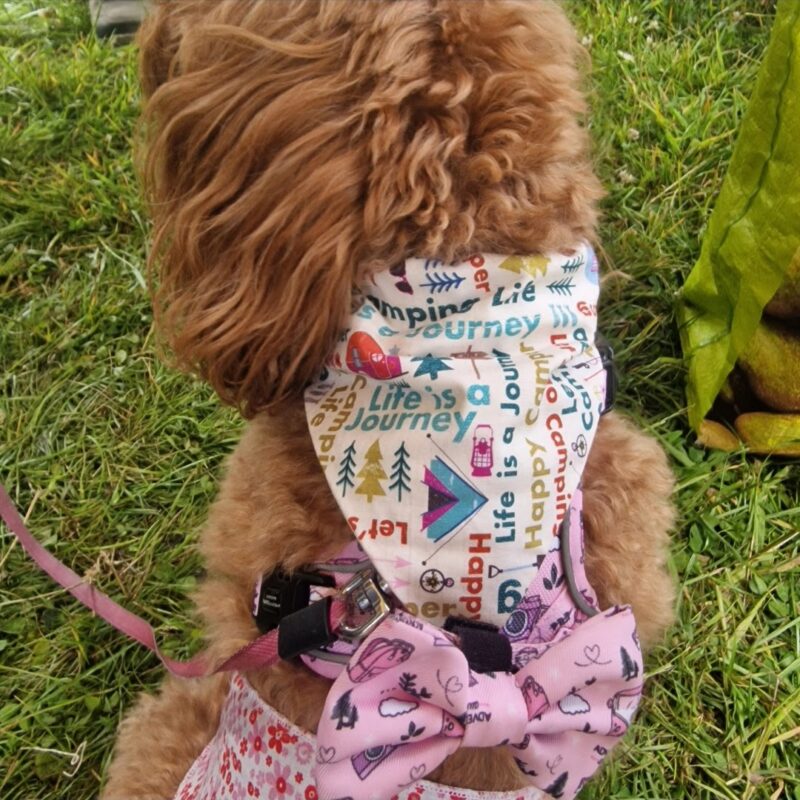 Camping Phrases Dog Bandana