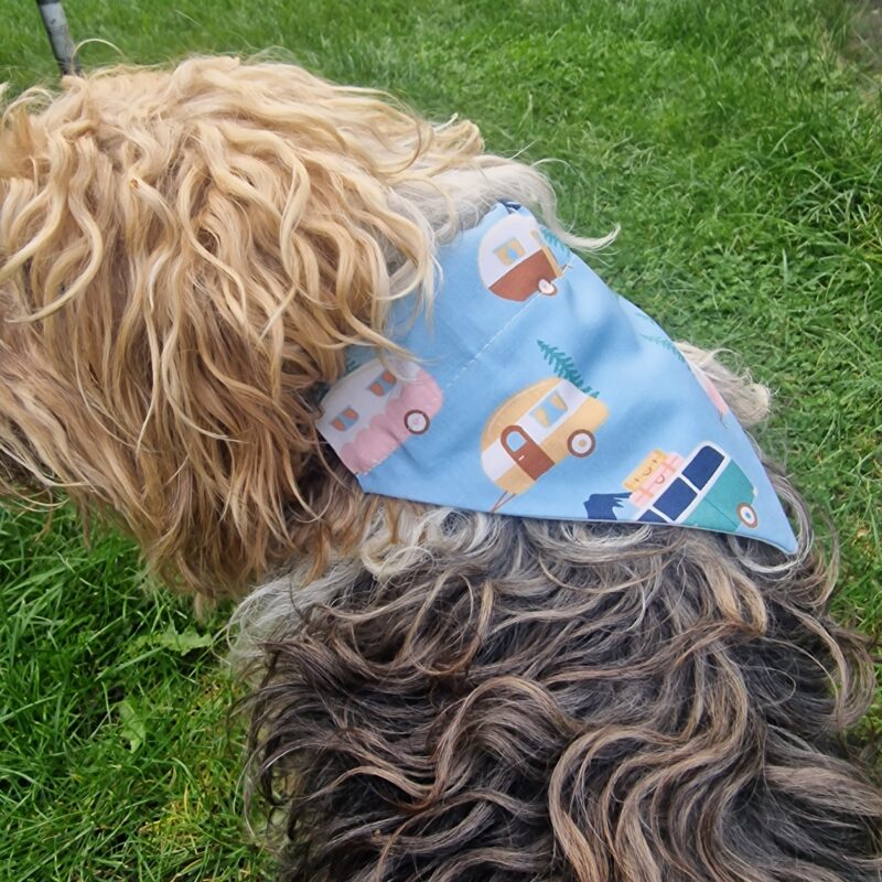 Caravan and Camper Dog Bandana (Duck-Egg Blue)