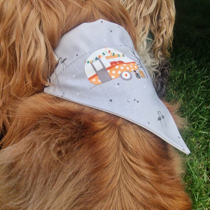 Caravan Dog Bandanas